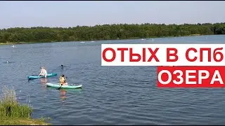 Отдых в Петербурге. Озера. #Кипень, Кипенское озеро, #Ропша | август 2022