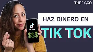 Como Ganar Dinero En Tik Tok 2020