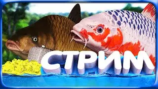 РР4 СТРИМ • Последние часы ТОП Фарма на Медном озере и немного камбалы с берега Моря!