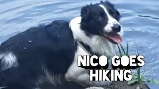 Nico Goes Hiking