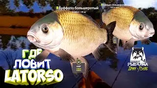 Русская рыбалка 4.🎣🦈 р. Ахтуба 🐋🐋💦 ГДЕ ЛОВИТ LATORSO 👀