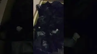 дискусы,отправка.Новосибирск-Москва.