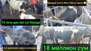 Сурхондарё Узун МОЛ бозори нархлари. 09.01.2022й