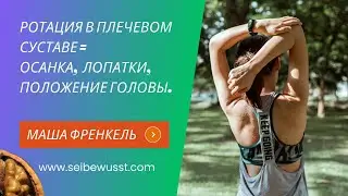 Влияние ротации плечевой кости на осанку и положение головы.