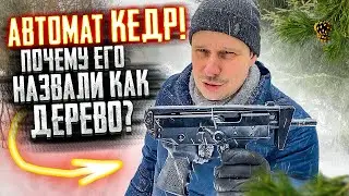 ПП-91 КЕДР! ПОЧЕМУ ЭТО АВТОМАТ ВСЕЙ РУССКОЙ ПОЛИЦИИ ???
