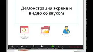 Необходимые настройки Zoom на уроке - демонстрация экрана и звука
