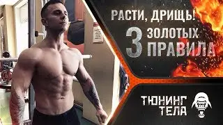 РАСТИ, ДРИЩ ! 3 Правила помогут  Набрать Массу Эктоморфу