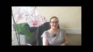 Василиса Мглинская-Потоки Энергии регулирование потоков.