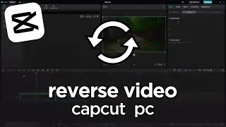 How to reverse video capcut pc - full guide