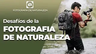 Los DESAFIOS a los que nos enfrentamos los FOTOGRAFOS DE NATURALEZA