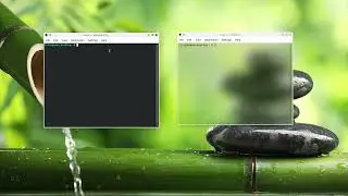 Make your Linux terminal background transparent