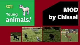 FS22 - Young animals in your game