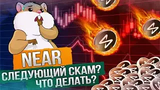NEAR - Стоит ли покупать или усреднять в свой портфель? Фундаментальный и технический анализ