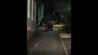 В Тамбове полиция проверяет видео с пьяной женщиной с детской коляской