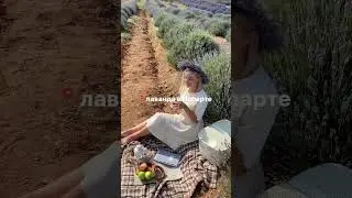 Вы не поверите! это 