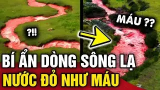 Kỳ bí dòng sông ĐỎ NHƯ MÁU ở Peru, thuộc top những nơi PHẢI ĐẾN 1 LẦN TRONG ĐỜI | Tin 3 Phút