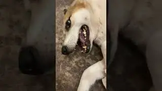 Для тех,кто любит подлиннее🙈😍🤗