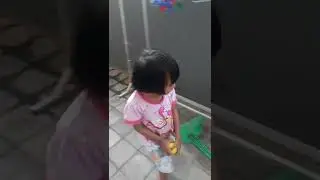 Ini Kucing Lucu Banget, Liar Tapi Jinak & Pintar Main Bola Juga❤Cintabel Ayu Channel❤