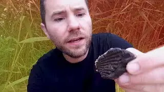 Calvert Cliffs State Park SHARK TEETH & FOSSIL Hunting 🦈