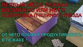 ПЕРВЫЙ ВЕСЕННИЙ МЁД С ЛЕЖАКА как работать с лежаком ВОЗМОЖНО ИЛИ НЕТ 🍯☝️🐝