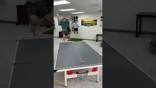 The Bouncer 