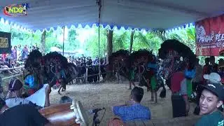 Rogo Putro Binangun jaranan pegon live kalibawang