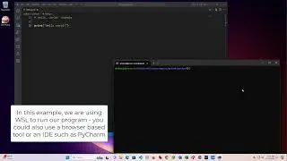 Python 