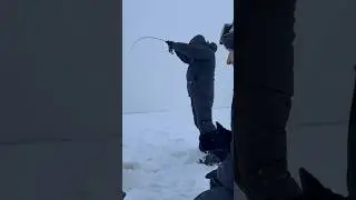 СУДАК В ПРЯМОМ ЭФИРЕ 😸 Поимка рыбы с паноптиксом