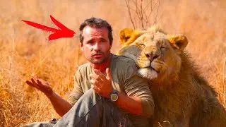 A man saved a little lion cub, but 7 years later something terrible happened!