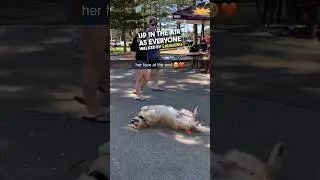 This dog refused to leave the park 😂❤️