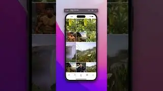 Flutter Instagram Clone Tutorial with Firebase - Full Course