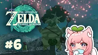 Legend of Zelda: Tears of the Kingdom Part 6 Faellie