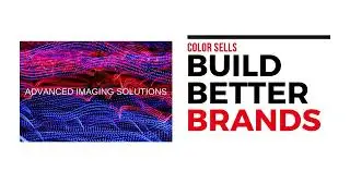 Streamline Your Global Color Process
