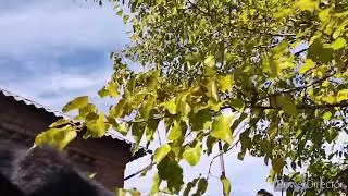 Славянск.19.10.22. Разбор полётов. Прелести жизни в провинции.
