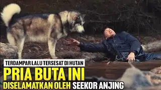 PRIA BUTA TERDAMPAR DAN TERSESAT DI HUTAN BELANTARA