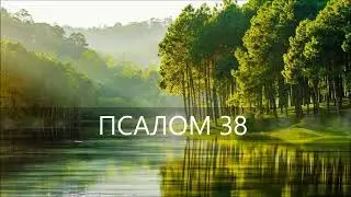 ПСАЛОМ 38 /Я сказал: буду я наблюдать за путями моими