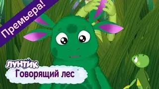 Говорящий лес 🌿 Лунтик 🌲 Новая серия | 491 | Премьера!