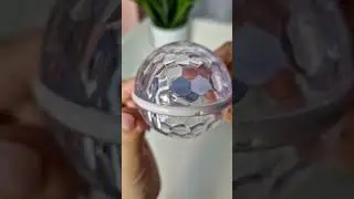 10 февраля 2024 г.