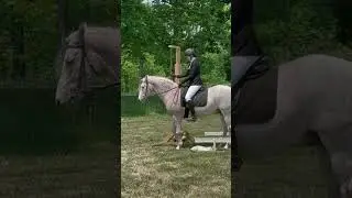 Working Equitation Show