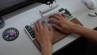 Ai03 Vega / POM Plate / Banana Split Switches Sound Test