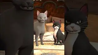 Splendid Cats [SFM] 