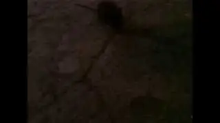 кухня.гуманность
