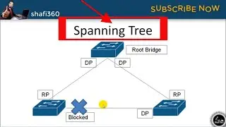 Spanning Tree | What is STP (Spanning Tree Protocol)? | Spanning Tree Protocol (STP) Explained 2024