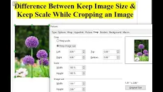 Difference between Keep Scale and Keep Image Size options in OOWriter Class 10/X IT-402 CBSE Exam