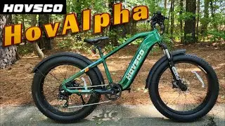 I Love this Gorgeous Ebike - Hovsco HovAlpha with Torque Sensor