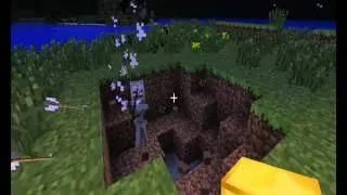 Enderman killed in the best way!
