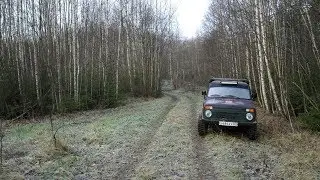 15 ноября.В лесу с ночёвкой.