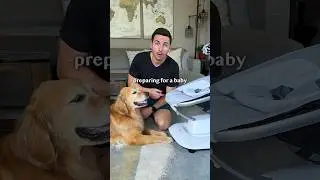 My dogs get ready for a baby
