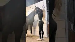 Horse cuddles are the best 🐴✨🖤 