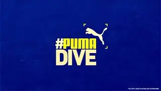 Catch The 